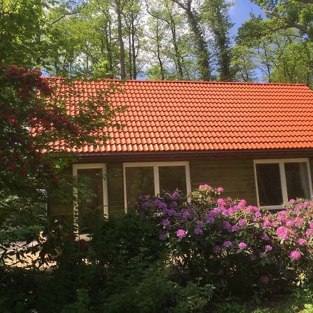 Ferienhof Ohlenbusch Worpswede Zewnętrze zdjęcie