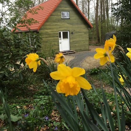 Ferienhof Ohlenbusch Worpswede Zewnętrze zdjęcie