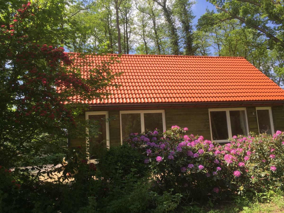 Ferienhof Ohlenbusch Worpswede Zewnętrze zdjęcie